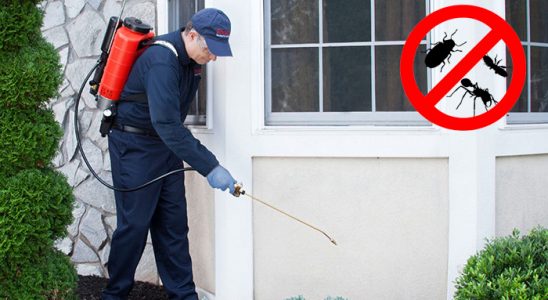Hocalar Akrep İlaçlama böcek ilaçlama ve haşere kontrolü — ilaclama-tr.com